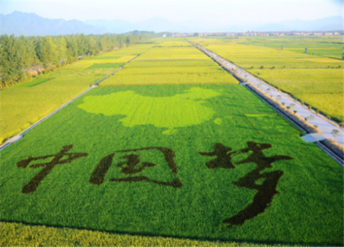 農(nóng)業(yè)部印發(fā)《關(guān)于大力發(fā)展休閑農(nóng)業(yè)的指導(dǎo)意見》 推動(dòng)農(nóng)業(yè)轉(zhuǎn)型升級(jí)與鄉(xiāng)村振興新引擎