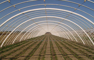 安陽(yáng)市佳和農(nóng)業(yè) 專業(yè)品質(zhì)，護(hù)航現(xiàn)代農(nóng)業(yè)——大棚配件廠家的卓越實(shí)踐